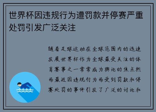 世界杯因违规行为遭罚款并停赛严重处罚引发广泛关注