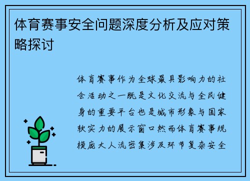 体育赛事安全问题深度分析及应对策略探讨